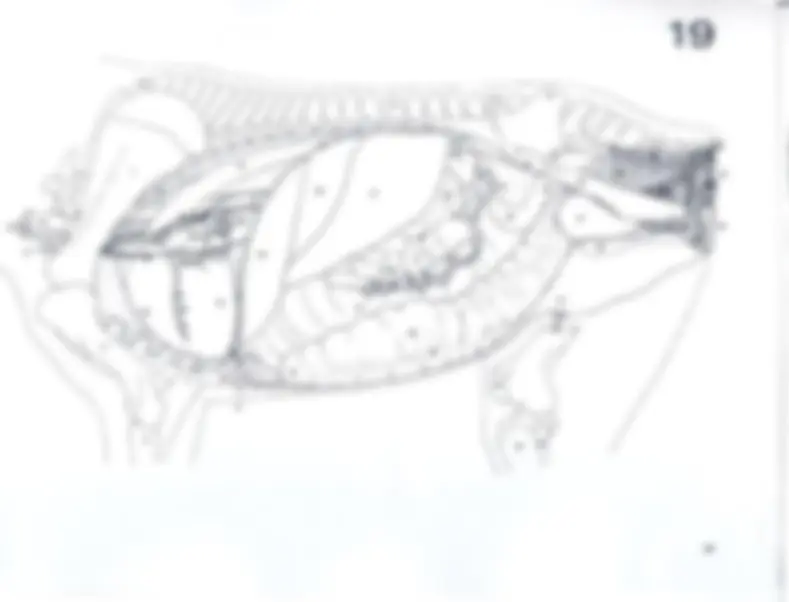 pf3e