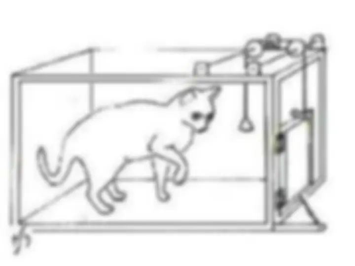 pf23