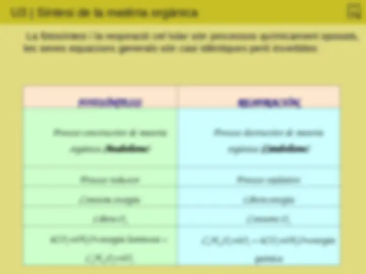 pf13
