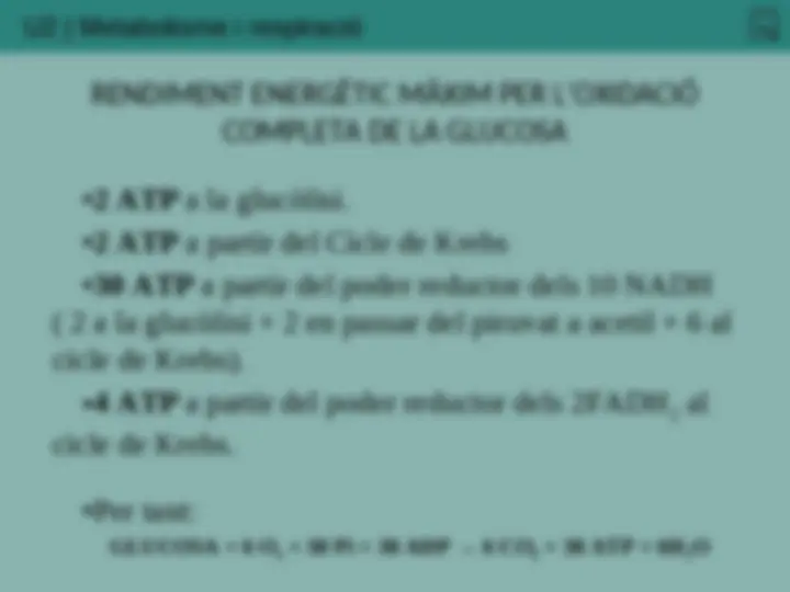 pf19