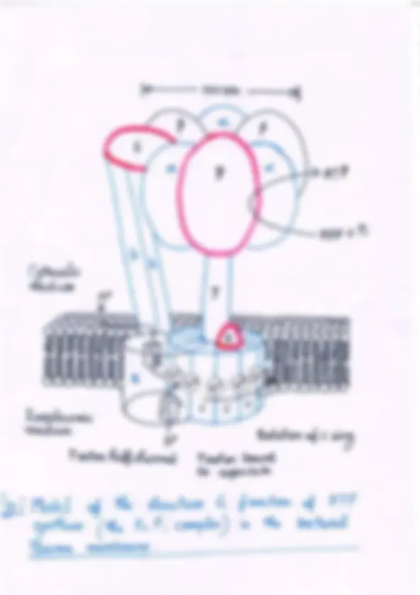 pf1f