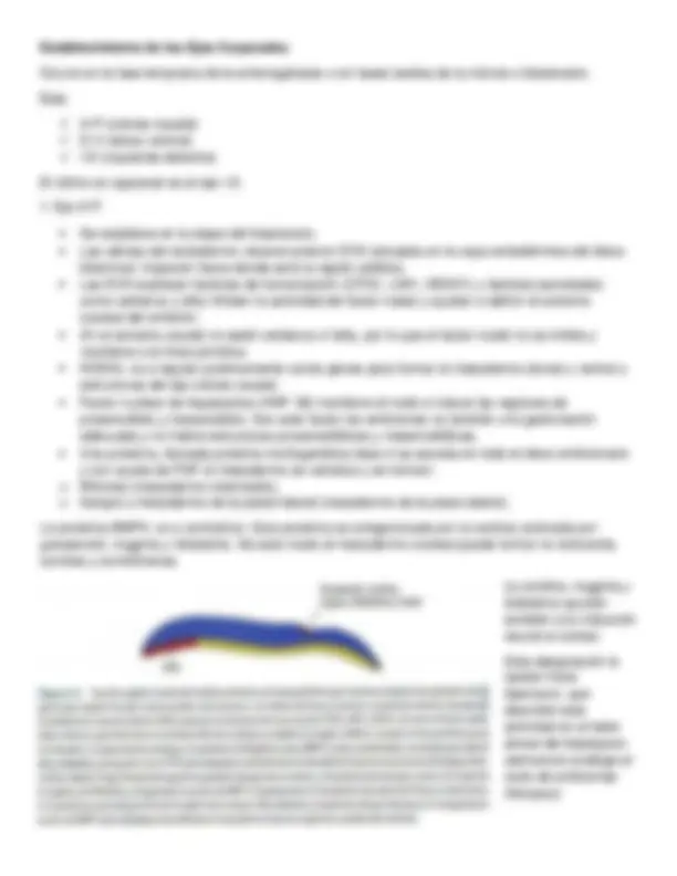 pf3