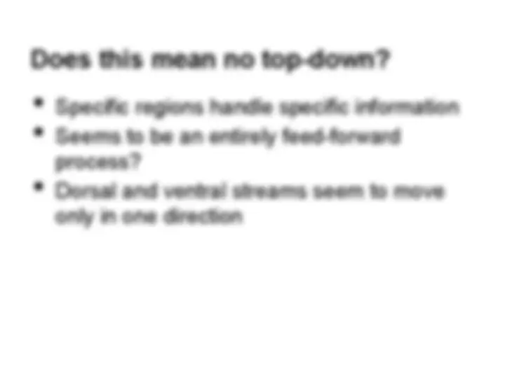 Information Processing Top Down - F12f8cf2a5a8893c204d82ae6505b30d.webp