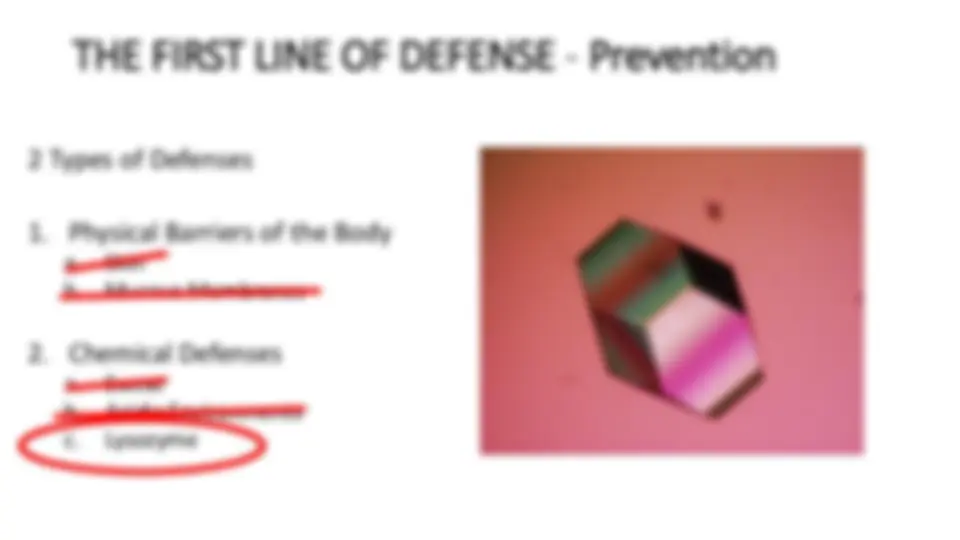 pf2e