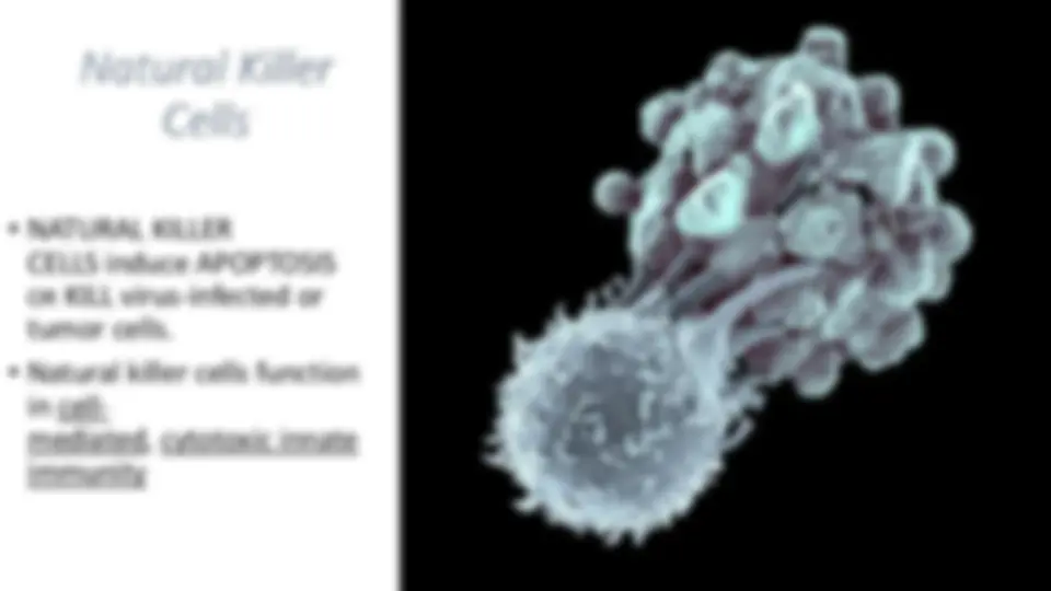 pf45