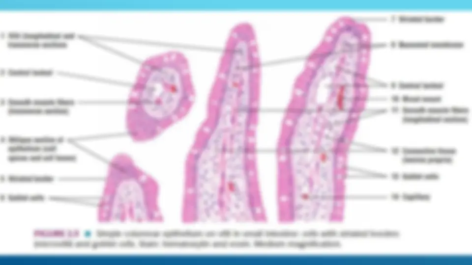 pfa