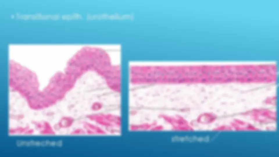 pf12