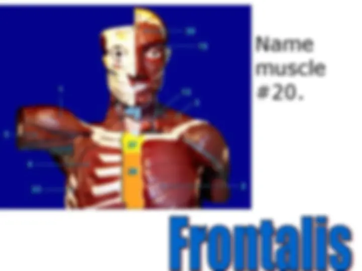 pf4