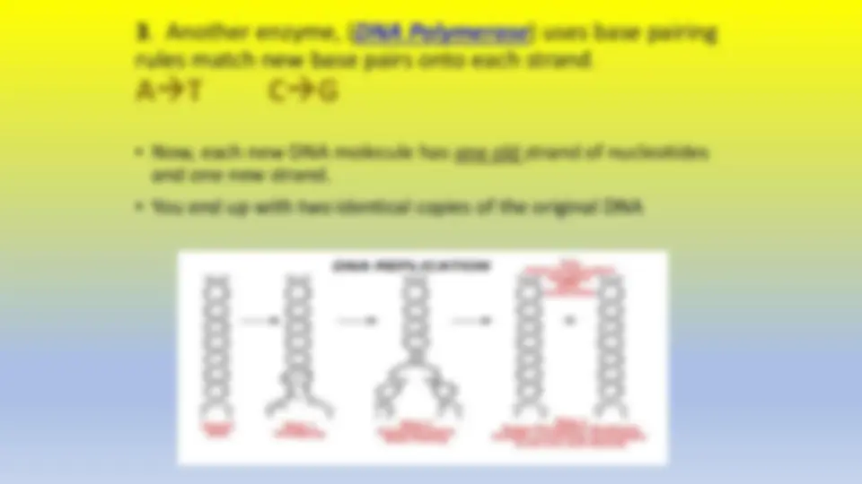 pf4