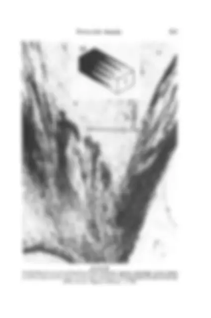 pf1c