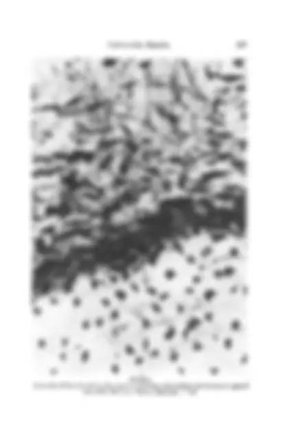 pf8