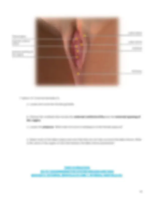 lab manual_reproductive_female_atlas.pdf | Schemes and Mind Maps ...
