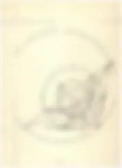 pf32