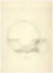 pf2d