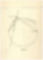 pf19