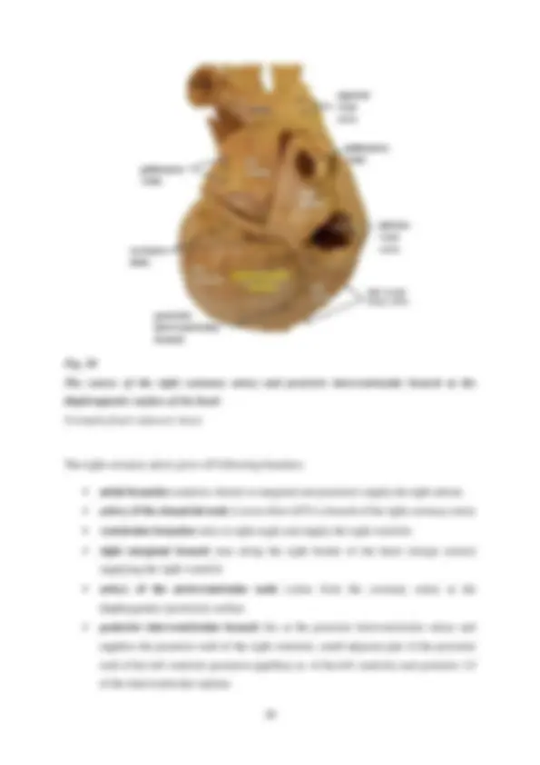 pf26