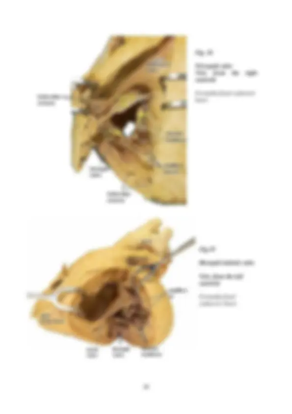 pf1a