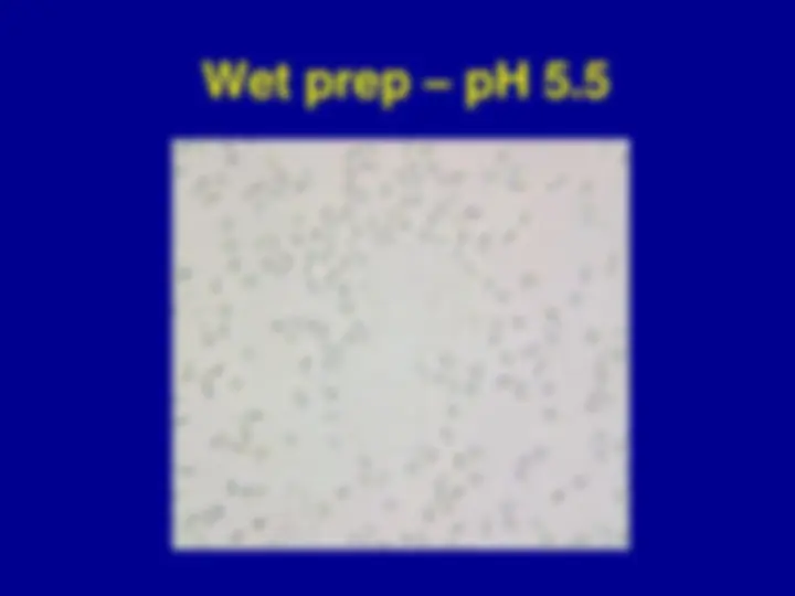 pf34