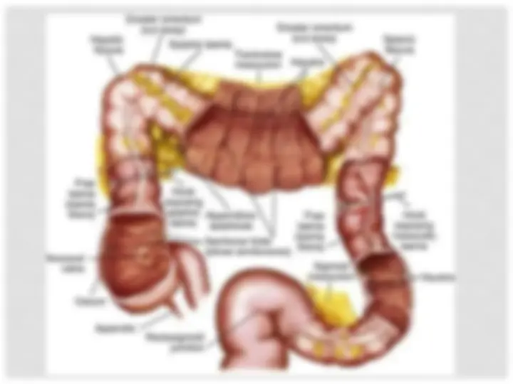 pf5