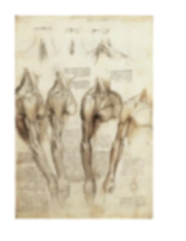 pf5