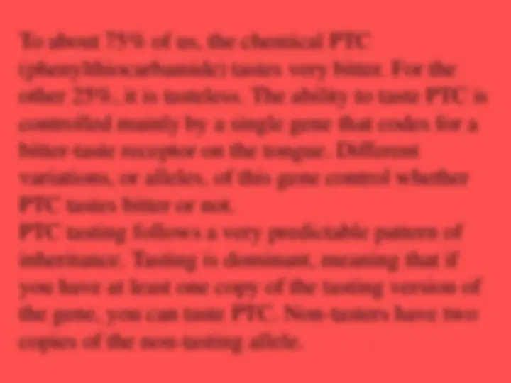 pf26
