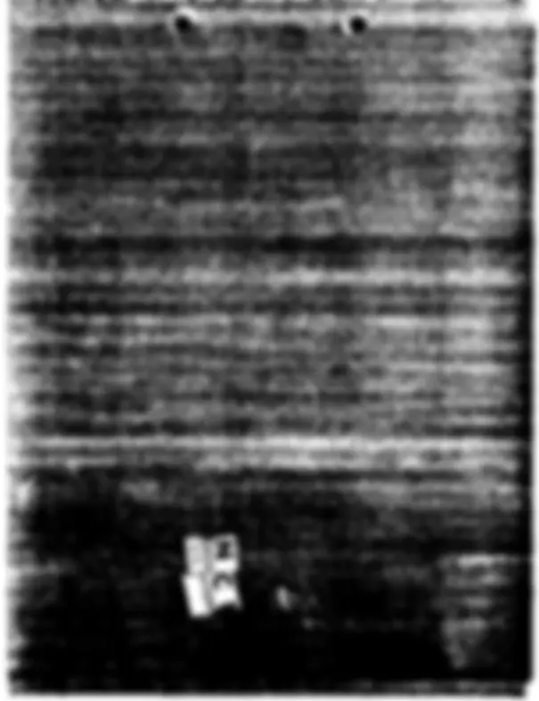 pf1f