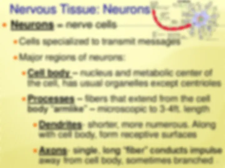 pff