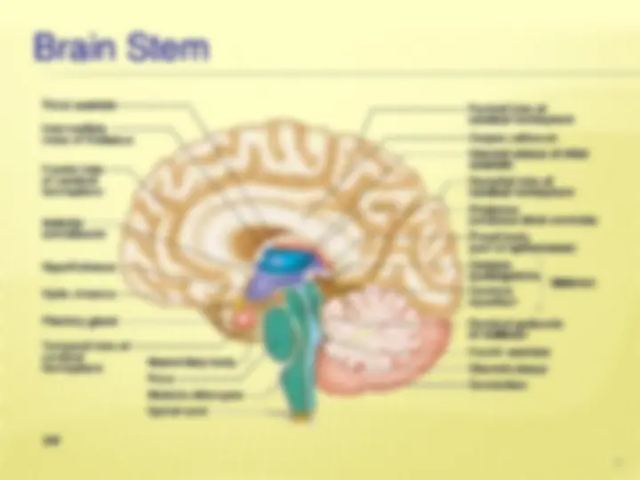 pf3b