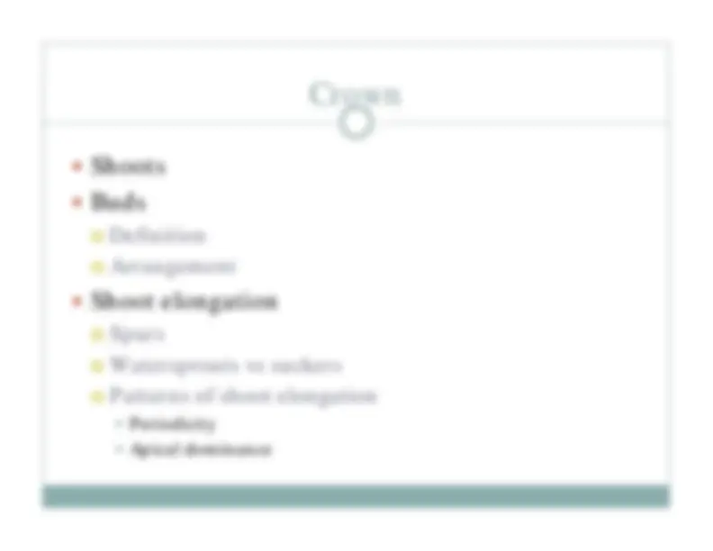 Chapter 2 Plant Structure and Function | Summaries Anatomy | Docsity