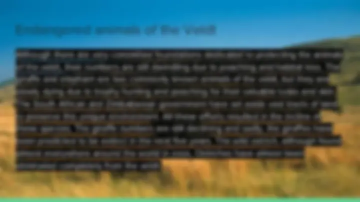 pf20