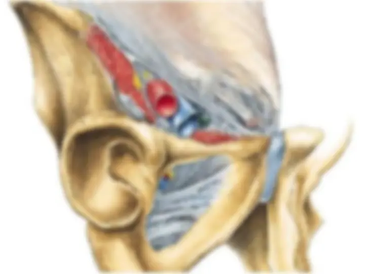 pf31