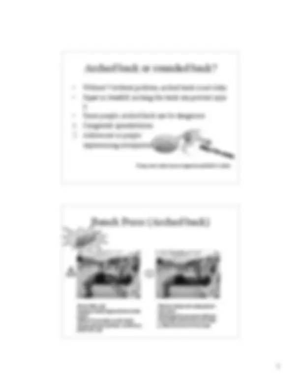 Contraindicated and High-Risk Exercises | Lecture notes Physiology ...