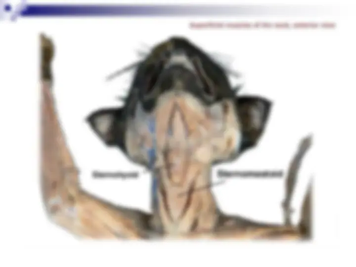 pf4