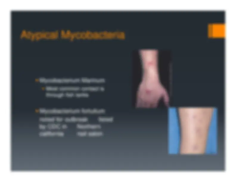 Description, Definition and Diagnosis of Common Skin Rashes | Summaries ...