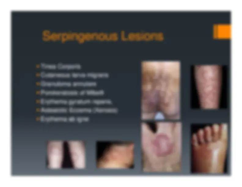 Description, Definition and Diagnosis of Common Skin Rashes | Summaries ...