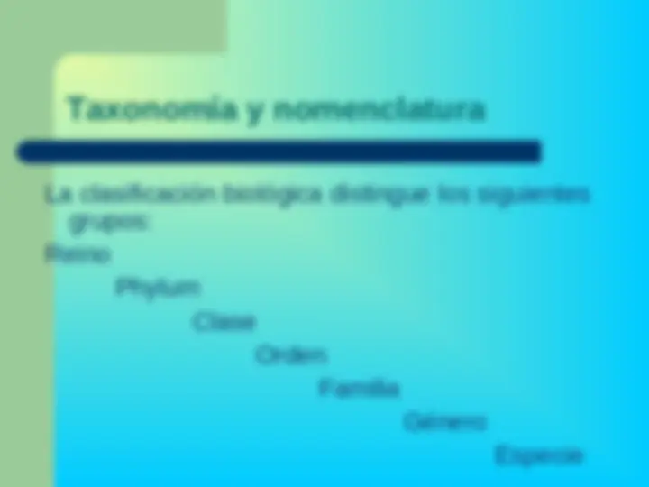 pf19
