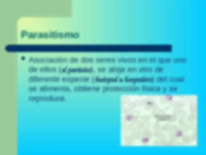 pf5