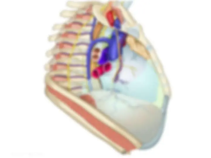 pf46