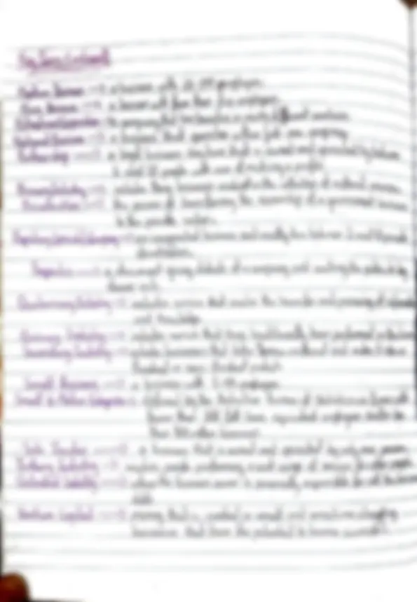 Topic 1 - Nature of Business Notes | Study notes Business | Docsity