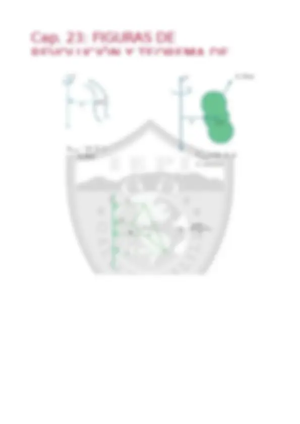 pf19