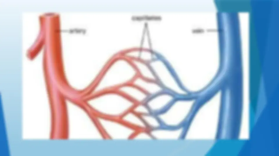 pf4