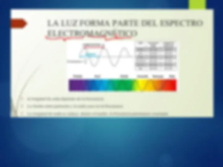 pf19