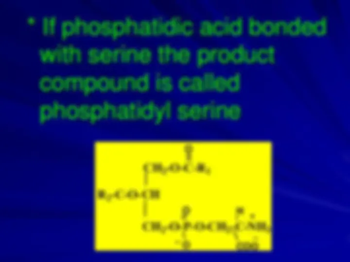 pf13