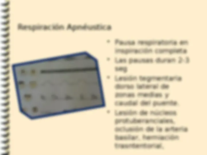 pf19