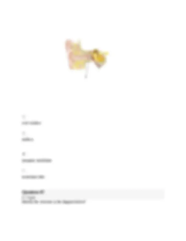 BIOS 251 Anatomy And Physiology 1 Final Exam Study Guide BIOS 107 ...
