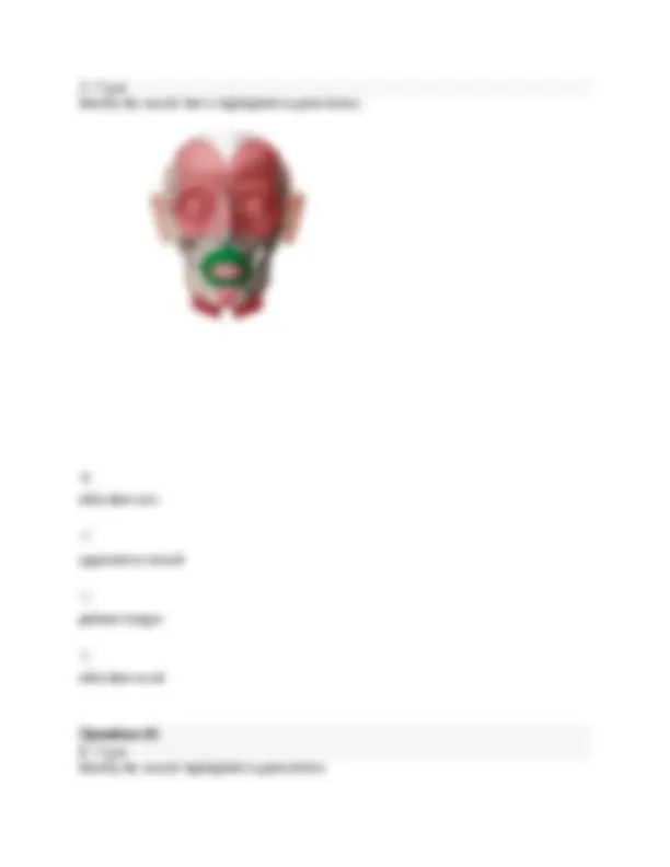BIOS 251 Anatomy And Physiology 1 Final Exam Study Guide BIOS 107 ...