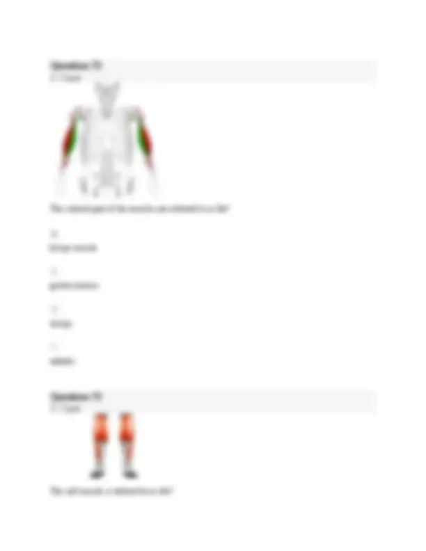 BIOS 251 Anatomy And Physiology 1 Final Exam Study Guide BIOS 107 ...