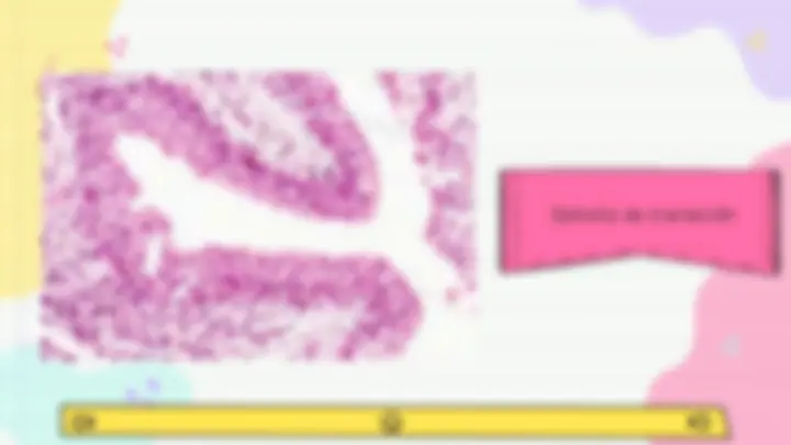pf12