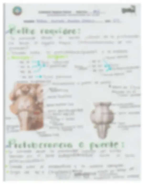 pf3