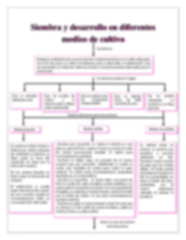 pf5